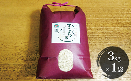 特別栽培米　日進市産もち米　3kg×1袋