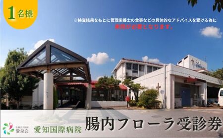 [1名様分]愛知国際病院 腸内フローラ検査受診券 アドバイス付き(要来院) 腸活 生活改善 体質