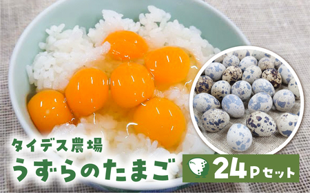 田原市産 うずらの卵 10玉入り×24パック タイデスうずら 鶉 ウズラ たまご 240個 クウェールコスモス 愛知県 田原市 国産 渥美半島 18000円