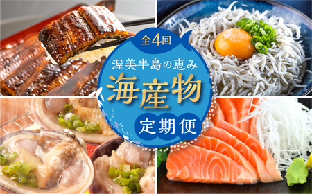 渥美半島の恵み 海産物 定期便 4回 ( うなぎ / しらす / サーモン / 大アサリ ) 鰻 蒲焼 刺身 海鮮 丼 人気 渥美プレミアムラスサーモン 愛知県 田原市