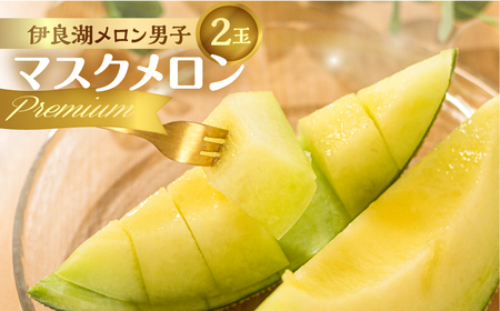 先行予約 伊良湖産 マスクメロン Premium 2玉 2026年6月下旬から8月中旬 発送 箱詰め メロン フルーツ 果物 お取り寄せ ギフト 渥美半島 田原市 産地直送 送料無料 メロンフルーツ