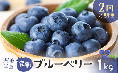 【定期便】完熟ブルーベリー 1kg　2回定期便