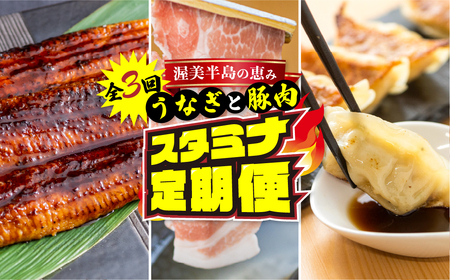 渥美半島の恵み スタミナセット定期便 全3回 (うなぎ / 豚肉 / 餃子) おかず定期便 惣菜定期便 定期便 肉定期便 どうまい定期便 肉 鰻