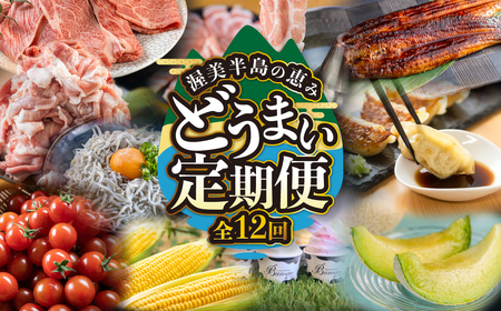 渥美半島の恵み どうまい 定期便 全12回 愛知県田原市 (うなぎ / 豚肉 / 名古屋コーチン / メロン / 牛肉 / スイーツ など )  定期便 12回定期便 フルーツ定期便 人気の定期便  