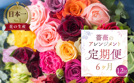 [定期便]薔薇 アレンジメント (バラ20本+ユーカリ) 6ヶ月 12回お届け 隔週 花束 定期便 アレンジブーケ バラ 薔薇 花束 ローズ 生花 赤 ピンク 色おまかせ 観賞用 プレゼント 花 ギフト 誕生日 フラワー 産地直送 田原市 切り花 切花 花 アレンジメント フラワーアレンジメント 