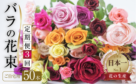 [定期便]3回お届け バラ 花束 50本 チャーミングローズ 花 ( 訳あり 規格外 ご自宅用 ) 薔薇 日時指定可 生花 愛知県 田原市定期便 アレンジメント フラワーアレンジメント 定期便