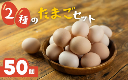 [5月末金額改定予定]希少な2種のたまごセット 50個 割れ保証付き 卵 たまご 鶏卵 50 お楽しみ