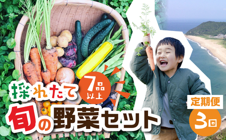 [ 3回 定期便 ]金賞受賞 旬彩野菜セット 旬の野菜 7品目以上 レシピ付き お届け 国産 新鮮 農薬不使用 化学肥料不使用 産地直送 こだわり野菜