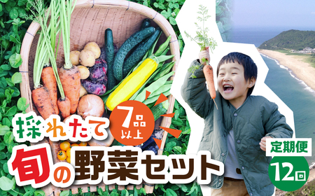 [ 12回 定期便 ]金賞受賞 旬彩野菜セット 旬の野菜 7品目以上 レシピ付き お届け 国産 新鮮 農薬不使用 化学肥料不使用 産地直送 野菜 定期便