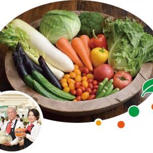 渥美半島のやさい特選便 13〜15品目 特製ドレッシング付き 野菜ソムリエ監修 旬の野菜 セット 食べ比べ 季節限定 数量限定