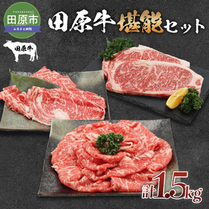 c \Zbg [X Xe[L250g×2 Ԃԗp 500g Ăp 500g  r[t [X Xe[L Ԃ   Y n O Y ~ ӂ邳Ɣ[ 