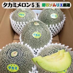 先行予約 道の駅の野菜ソムリエ厳選 タカミメロン 5玉 箱詰め メロン フルーツ 果物 お取り寄せ 渥美半島 産地直送 田原市 送料無料 16000円 めっくんはうす