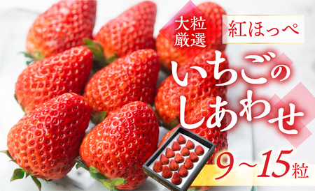 [愛知県・田原産]ブランドいちご「いちごのしあわせ」約9粒〜15粒 1月中お届け / 苺 イチゴ フルーツ 果物 農薬節減 愛知県 特産品 産地直送 田原市 渥美半島 イチゴ 苺 