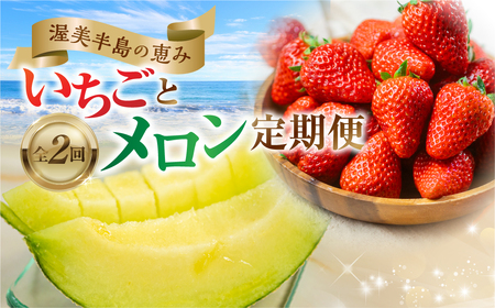 メロン・イチゴ定期便 全2回 果物 旬 めろん いちご 紅ほっぺ 季節の果物 人気 愛知県 田原市