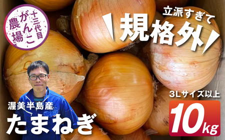 [先行予約] がんこ玉ねぎ 10kg 玉ねぎ 玉葱 野菜 旬 サイズお任せ 産地直送 訳あり 規格外 愛知県 田原市 訳あり 