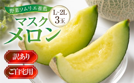 行予約 訳あり マスクメロン L〜2L 3玉 メロン 野菜ソムリエ推薦 数量限定 渥美半島 伊良湖潮風育ち 田原市 ご自宅用 お取り寄せ 産地直送 送料無料 12000円