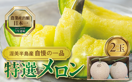 先行予約 特選メロン 2玉 マスクメロン (1玉 1.9kg前後) 渥美半島産 マルタケ農園 メロン めろん 箱詰め フルーツ 果物 愛知県 田原市 産地直送 夏 15000円 1万5千円