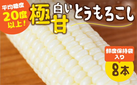 [先行予約]高評価 平均糖度20以上 白い極甘とうもろこし 8本 朝採り 人気 甘い 簡単調理 まるで フルーツ 送料無料 高レビュー 数量限定 2025年 先行予約