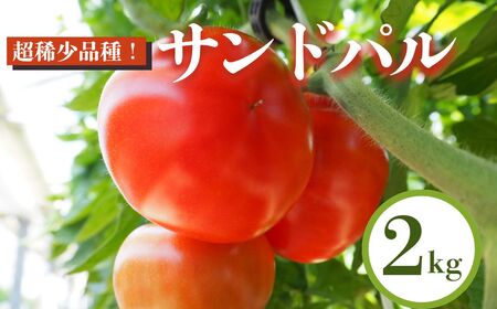 超稀少品種!サンドパル 2kg とまと トマト 産地直送 愛知県 田原市