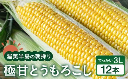 [先行予約] 朝採り極甘 とうもろこし 3Lサイズ 12本 渥美半島産 愛知県田原市 トウモロコシ 産地直送 ビックサイズ