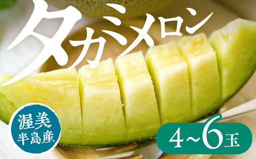 【先行予約】タカミメロン 4～6玉 メロン JA愛知みなみ