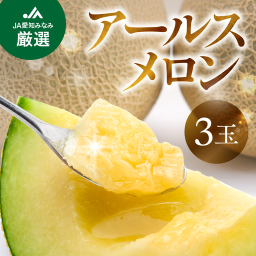 【先行予約】アールスメロン 3玉 メロン JA愛知みなみ