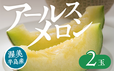 [先行予約]アールスメロン 2玉 メロン JA愛知みなみ