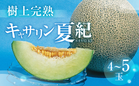 [先行予約]渥美半島産 青木さんちのキャサリン夏紀 樹上完熟 4玉〜5玉 約5kg メロン キャサリン 青肉メロン 完熟 フルーツ 果物 デザート 農家直送 送料無料 熟成