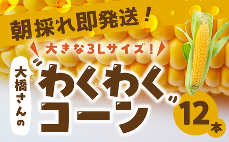 ̂ꑦI勴_̃gERV 킭킭R[ 12{ 傫 Ƃ낱 gERV R[ VN ̂  _ƒ   cs m