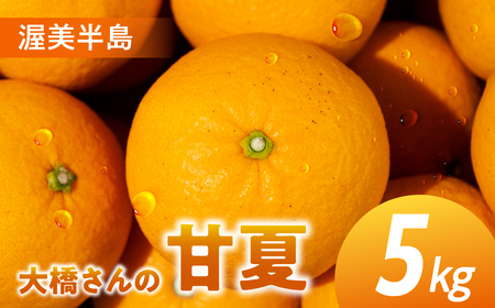 大橋農園の 甘夏 5kg 甘夏 あまなつ 柑橘 柑橘類 みかん