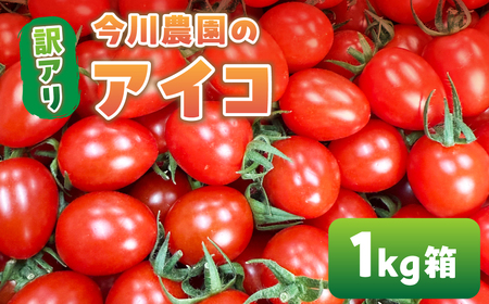 [ふるさと納税][先行予約]今川農園のミニトマト 訳ありアイコ 1kg 先行予約受付 期間限定 季節限定 野菜 国産 完熟 やさい フルーツ トマト 完熟 千果 ミニトマト イエロー プチトマト イエロートマト プチ お弁当 贈り物 おやつ サラダ 送料無料 産地直送
