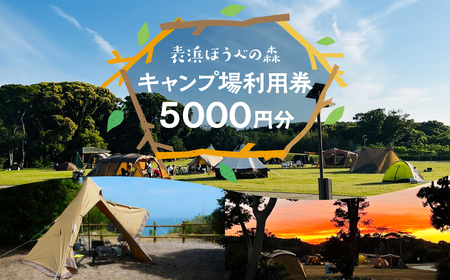 表浜ほうべの森キャンプ場利用券 5000円分 キャンプ場 ほうべの森 キャンプ BBQ 海岸 ピザ づくり 石窯 海 チケット 利用券 愛知県 田原市 渥美半島