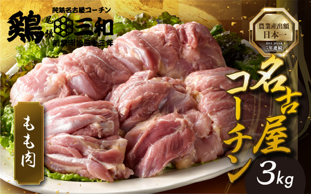 三和 純鶏 名古屋コーチン もも肉 3kg 地鶏 鶏肉 創業 明治 33年 さんわ 鶏三和 冷蔵 冷蔵配送 とりにく さんわ 鶏 とり肉 もも モモ肉 もも肉 国産 田原市 33000円 肉