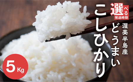 [5kg:11月発送]数量限定 \13000円/ こしひかり 5kg お米 おこめ 米 コメ ごはん コシヒカリ ご飯 ブランド米 精米 令和7年 定期 6か月 令和6年産 売り切れ 備蓄米 よりおいしい 愛知県 田原市 渥美半島 人気 どうまい お米 農家直送 先行予約 令和7年産 備蓄米 より おいしい 先行予約 13000円
