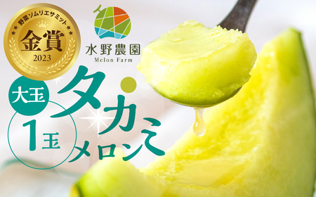 水野農園産タカミメロン 大玉1玉 メロン めろん 先行受付 フルーツ 果物 お中元 お取り寄せ ギフト 渥美半島 田原市 産地直送 送料無料 農家直送 緑肉 産直 ネット系メロン くだもの デザート メロン 糖度 メロン 青肉メロン