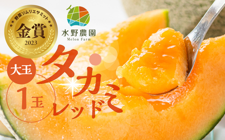 [先行予約]2026年6月お届け 水野農園産タカミレッド 大玉1玉 メロン めろんレッド 先行受付 フルーツ 果物 お中元 お取り寄せ ギフト 渥美半島 田原市 産地直送 送料無料 農家直送 産直 ネット系メロン くだもの デザート 糖度 赤肉
