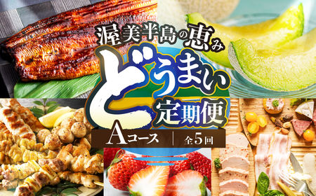 渥美半島の恵み どうまい 定期便 全5回 Aコース ( いちご 焼き鳥 うなぎ メロン 豚肉 ハム ソーセージ ) 青うなぎ 名古屋コーチン マスクメロン ご当地 人気 頒布会