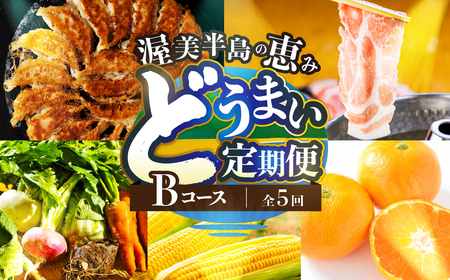 渥美半島の恵み どうまい 定期便 全5回 Bコース ( 野菜 セット 餃子 とうもろこし みかん 豚肉 ) 青うなぎ 名古屋コーチン マスクメロン ご当地 人気 頒布会