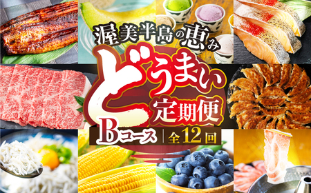 渥美半島の恵み 定期便 12回 肉コース 肉 ( うなぎ / ブランド豚 / メロン / しらす/ 餃子 / ジェラート / とうもろこし / 焼き鳥 / トマト / 牛肉 / 蒲焼 ) 12ヶ月 1年 鰻 ウナギ 蒲焼 高評価 お楽しみ フルーツ 海鮮 果物 どうまい 人気 田原市 豚肉 マスクメロン ミニトマト 名古屋コーチン