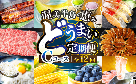 渥美半島の恵み 定期便 12回 海鮮コース 肉 海鮮 農産物 ( うなぎ / ブランド豚 / メロン / しらす/ 餃子 / ジェラート / とうもろこし / 焼き鳥 / トマト / 牛肉 / 蒲焼 ) 12ヶ月 1年 鰻 ウナギ 蒲焼 高評価 お楽しみ フルーツ 果物 どうまい 人気 田原市 豚肉 マスクメロン ミニトマト 名古屋コーチン