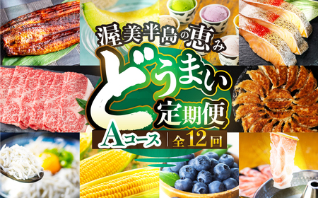 渥美半島の恵み 定期便 12回 農産物コース 肉 海鮮 農産物 ( うなぎ / ブランド豚 / メロン / しらす/ 餃子 / ジェラート / とうもろこし / 焼き鳥 / トマト / 牛肉 / 蒲焼 ) 12ヶ月 1年 鰻 ウナギ 蒲焼 高評価 お楽しみ フルーツ 海鮮 果物 どうまい 人気 田原市 豚肉 マスクメロン ミニトマト 名古屋コーチン
