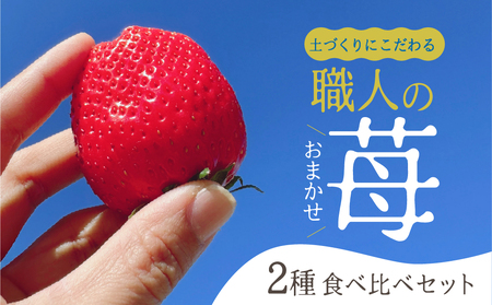 [先行予約]安心安全!職人が作るおまかせ苺 2種 食べ比べセット いちご 苺 おまかせ のため 訳あり 食べ比べ セット 安心 安全 国産 愛知県 田原市 渥美半島