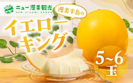 ys\zCG[LO 5 ` 6 i v 4kg ȏ j CG[ LO  t[c ʕ m cs   XC[c Mtg 蕨 v[g 