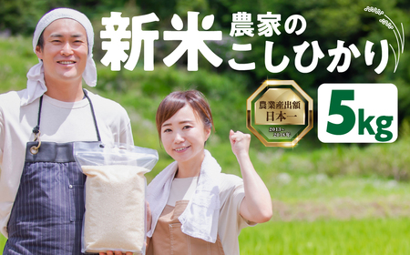 数量限定 13000円 新米農家のこしひかり 5kg お米 おこめ 米 コメ ごはん コシヒカリ ご飯 ブランド米 精米 令和7年 6か月 令和6年産 売り切れ 備蓄米 よりおいしい 愛知県 田原市 渥美半島 人気 先行予約 令和7年産 13000円 KASUKEN