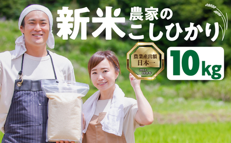 新米農家のこしひかり 10kg お米 おこめ 米 コメ ごはん コシヒカリ ご飯 ブランド米 精米 令和7年 6か月 令和6年産 売り切れ 備蓄米 よりおいしい 愛知県 田原市 渥美半島 人気 先行予約 令和7年産 25000円 KASUKEN