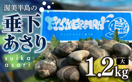 [先行予約]どでかい!垂下あさり 1.2kg サイズ 大 あさり ブランドあさり 浅利 ダシ 出汁 味噌汁 国産 アサリ 愛知県 田原市 新鮮 砂抜き 海鮮 魚介類 魚介 貝 人気 パスタ などに