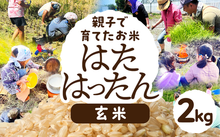 [玄米2kg]お米 2kg 玄米 お米 米 コメ こめ ご飯