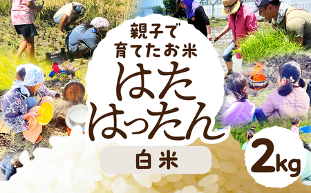 [白米2kg]お米 2kg 白米 お米 米 コメ こめ ご飯