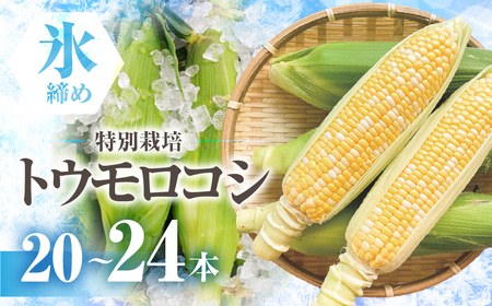 �y��s�\��z�X���߂Ƃ����낱�� �o�C�J���[ 20�{�`24�{ ���c���񂿂̂Ƃ����낱�� �R�[��