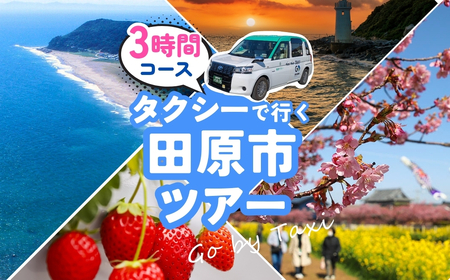中型タクシーで田原市観光プラン 選べる 3時間コース 観光 旅行 タクシー いちご狩り 岬 灯台 菜の花 菜の花祭り 田原市 渥美半島 愛知県